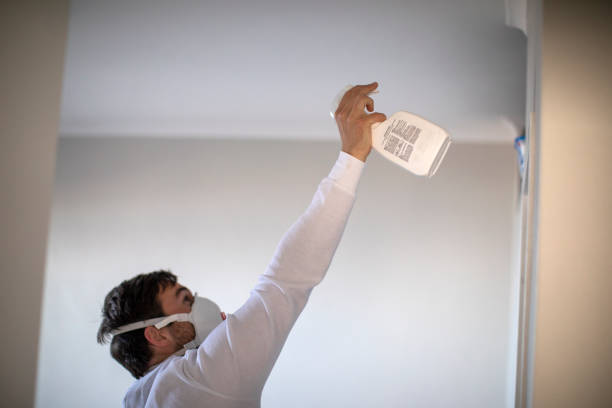 Best Post-Flood Mold Remediation in Ligh, NE