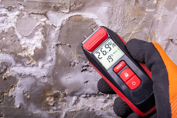 Best Crawl Space Mold Remediation in Ligh, NE