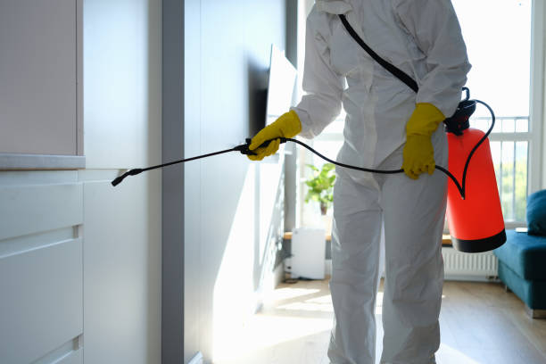 Best Mold Remediation for Specific Building Types in Ligh, NE